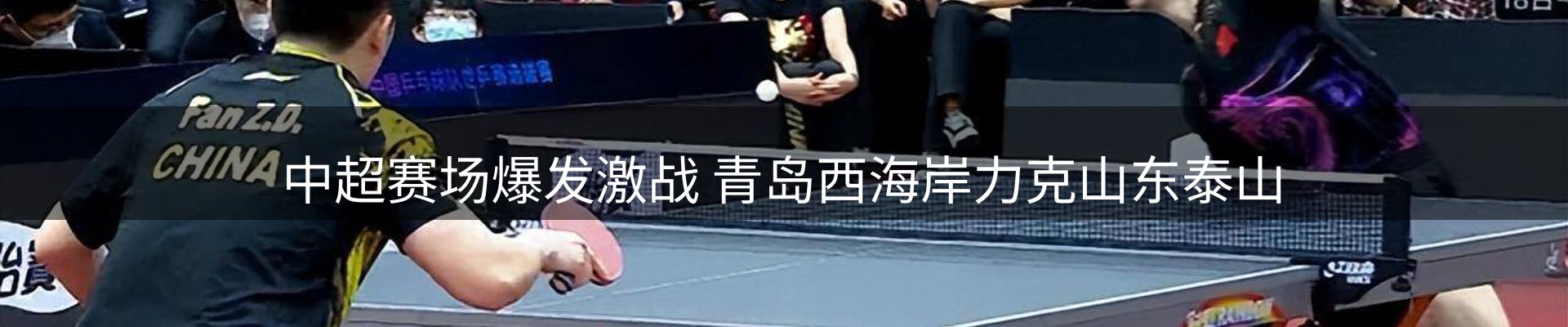 网站资讯