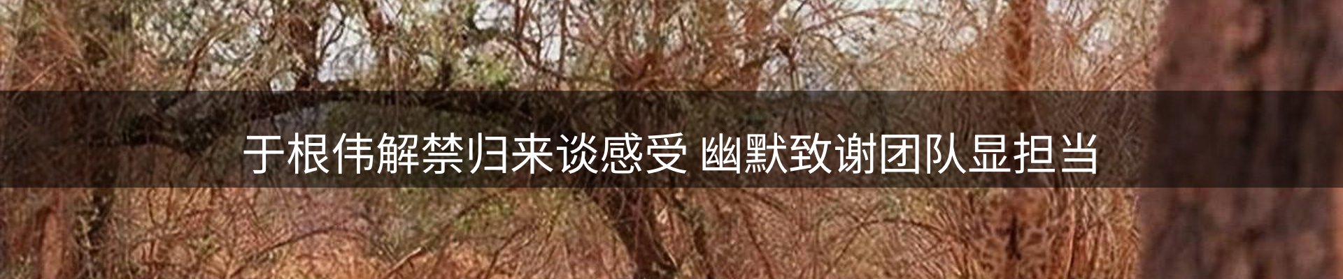 网站资讯