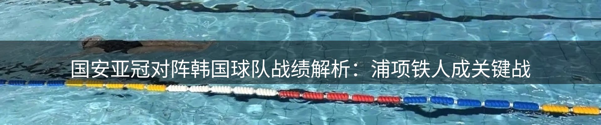 网站资讯