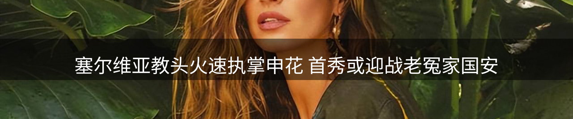 网站资讯