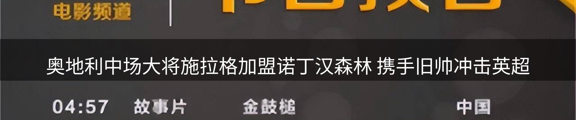 网站资讯
