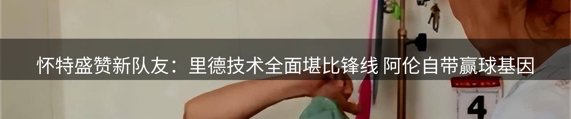 网站资讯