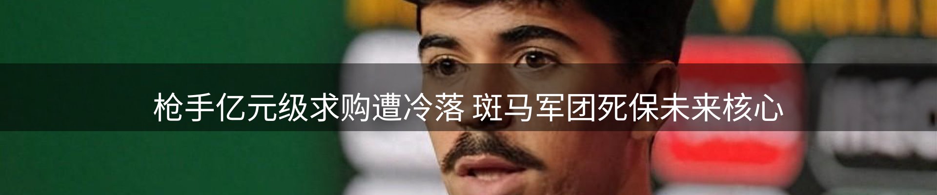 网站资讯