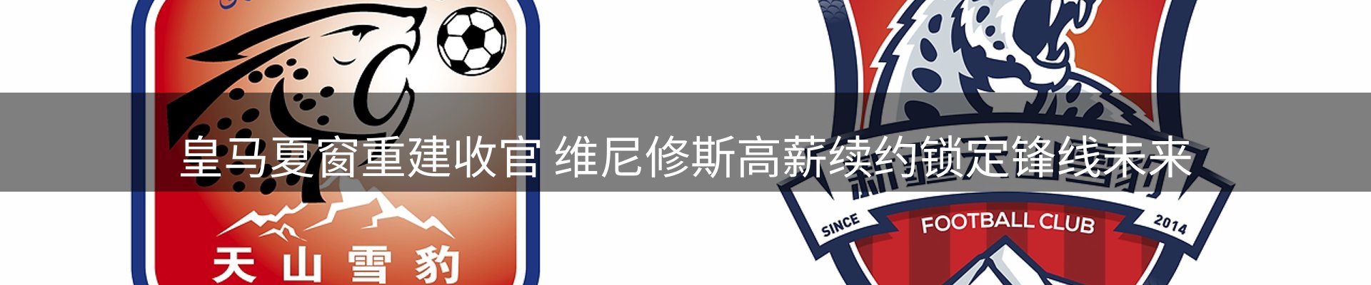 网站资讯