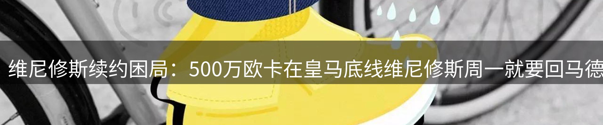 网站资讯