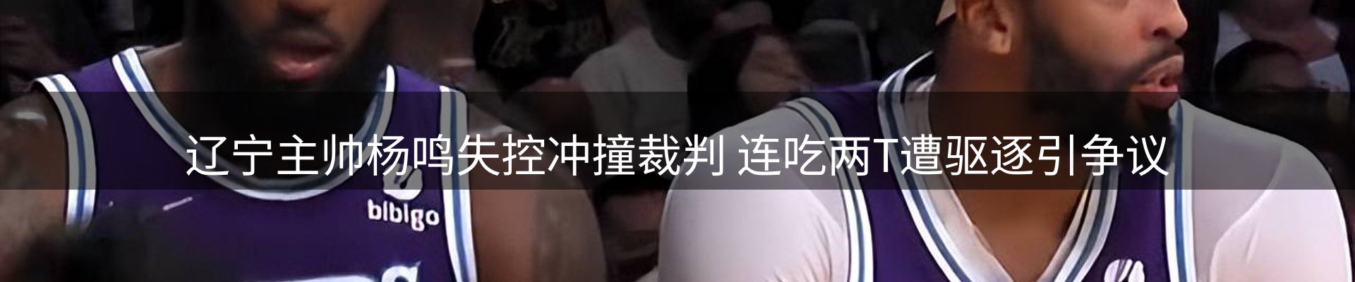 网站资讯